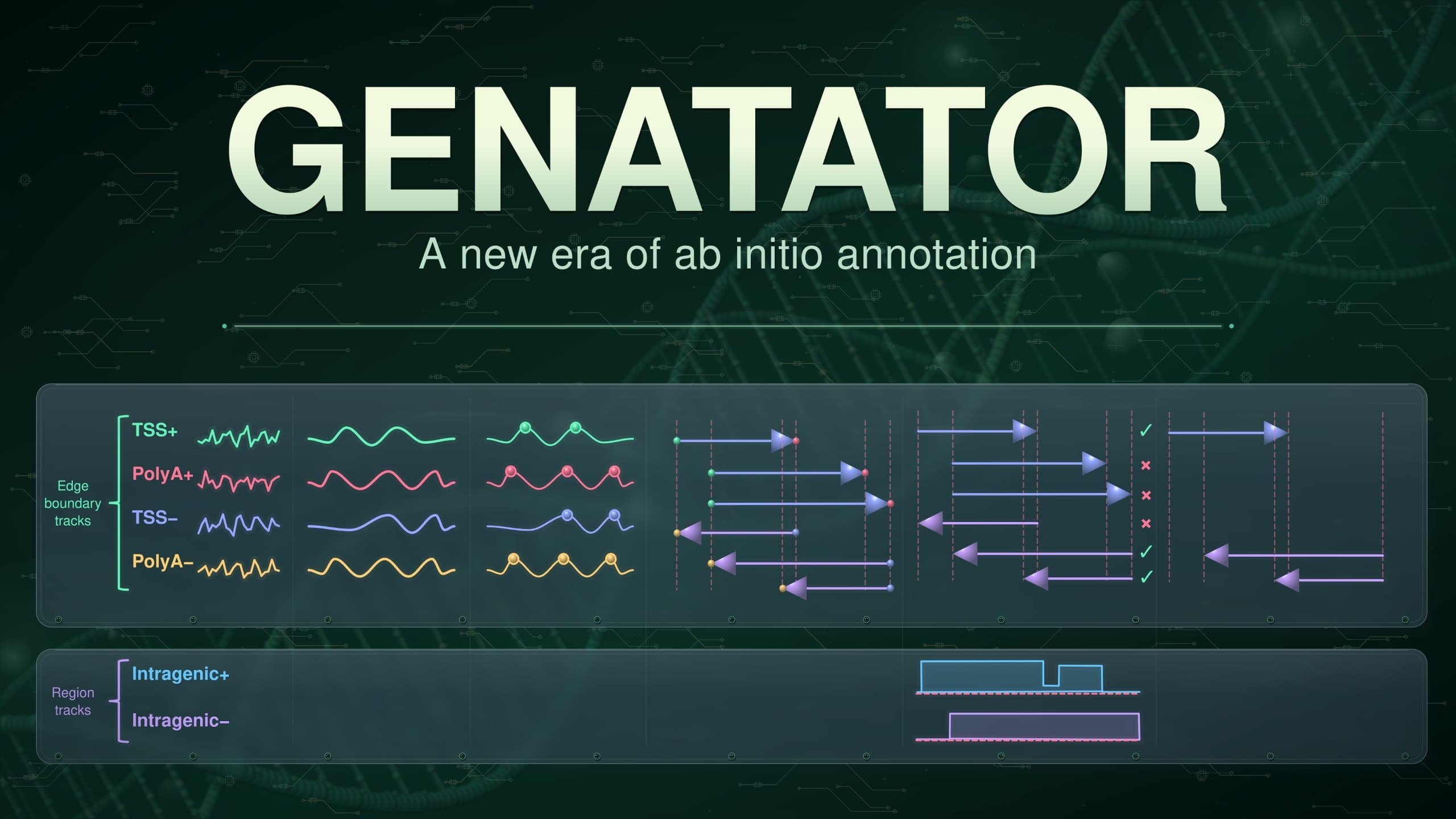 GENATATOR: учим языковые модели для ДНК восстанавливать структуру генов