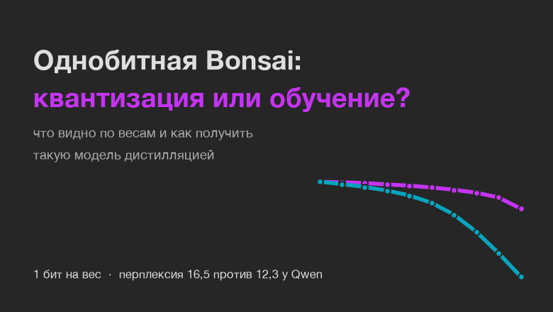 Однобитная Bonsai по весам: что видно при сравнении с Qwen и как получить такую модель дистилляцией