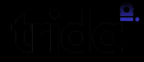 Добро пожаловать в блог Trida AI